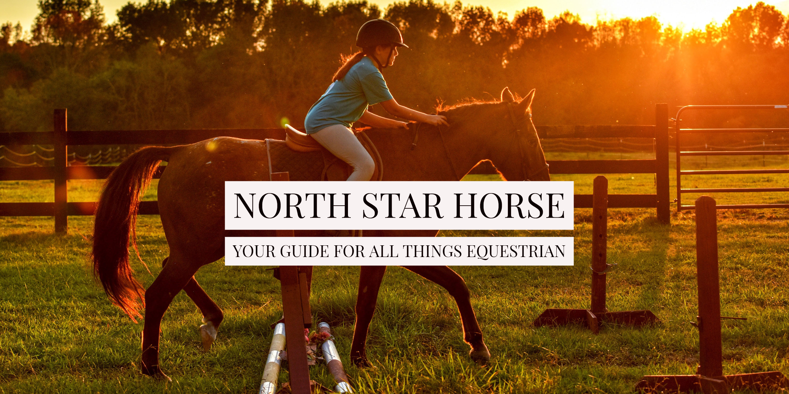 North Star Horse
